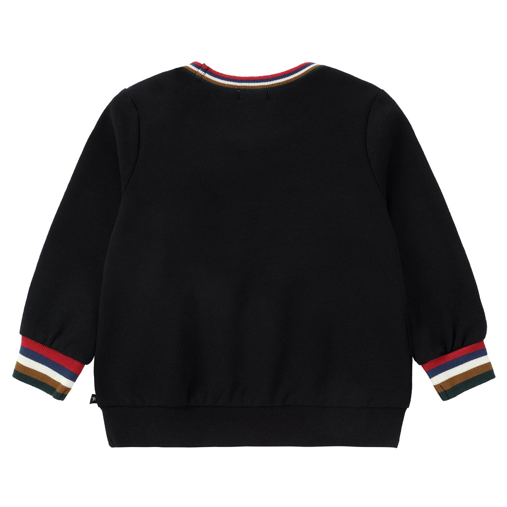 Multicolor Airplane Sweatshirt