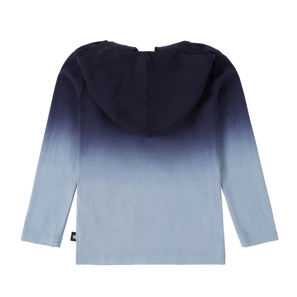 Blue Ombre Hooded Tshirt