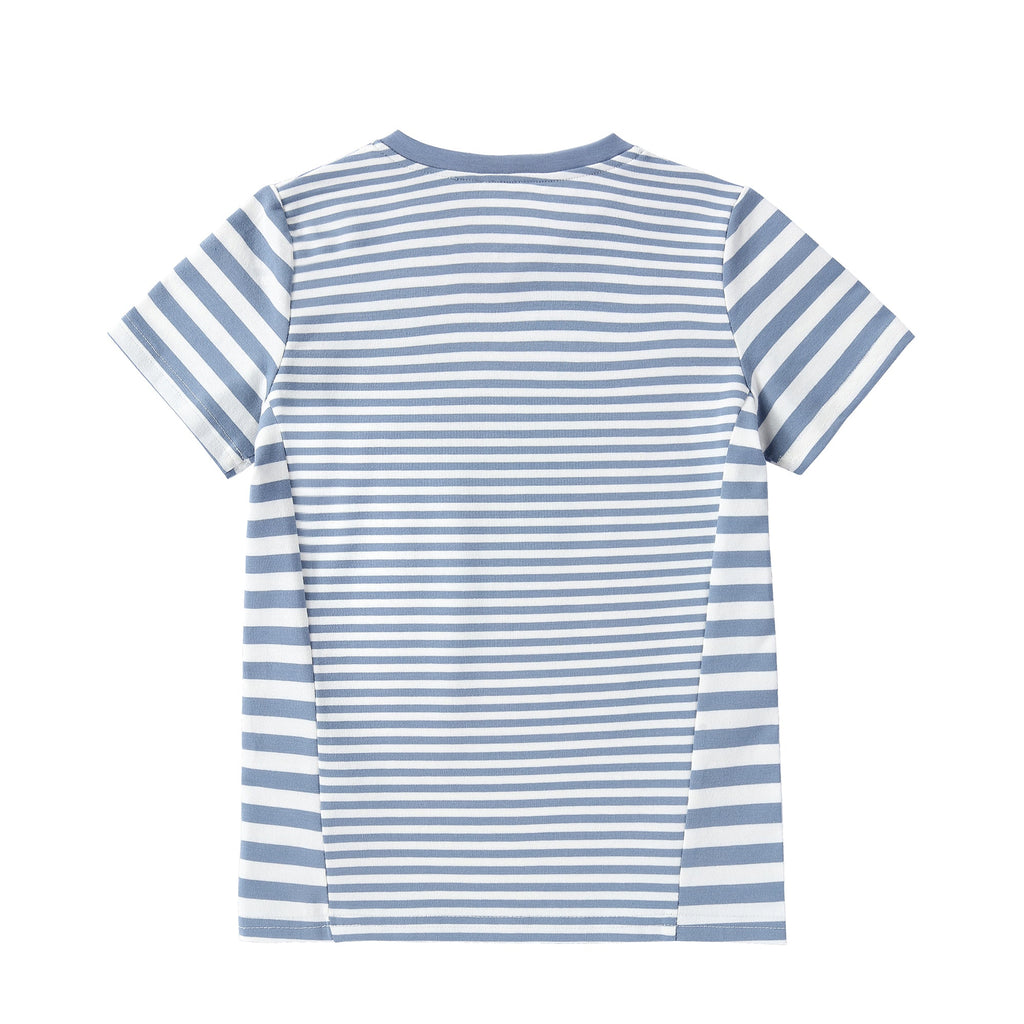 Boys Dusty Blue Dual Stripe T-shirt