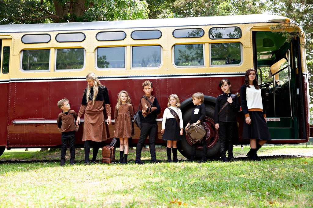 Brown Velour Paneled A-line Skirt