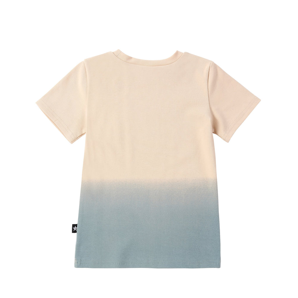 Starwashed Ombre Tshirt